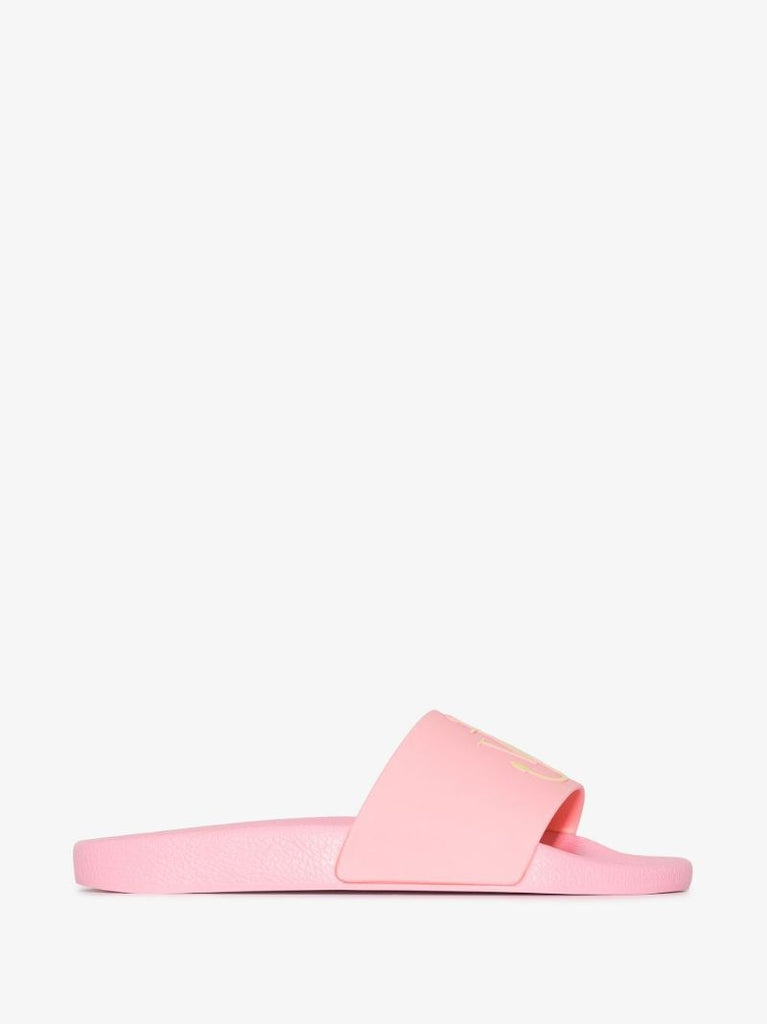Pink Anchor Logo Slides