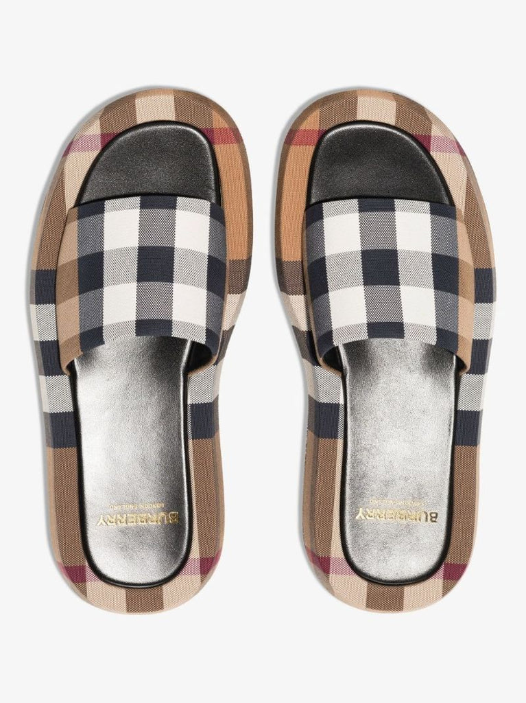 Brown House Check Slides