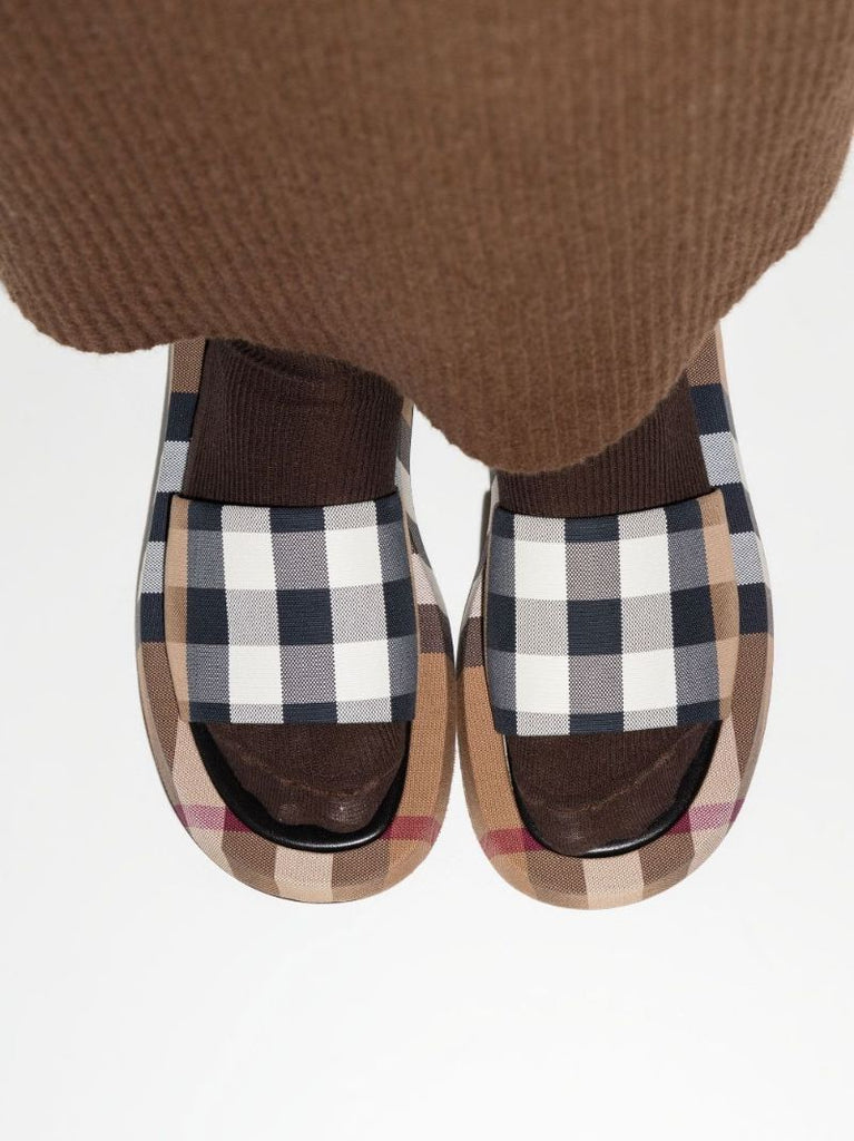 Brown House Check Slides