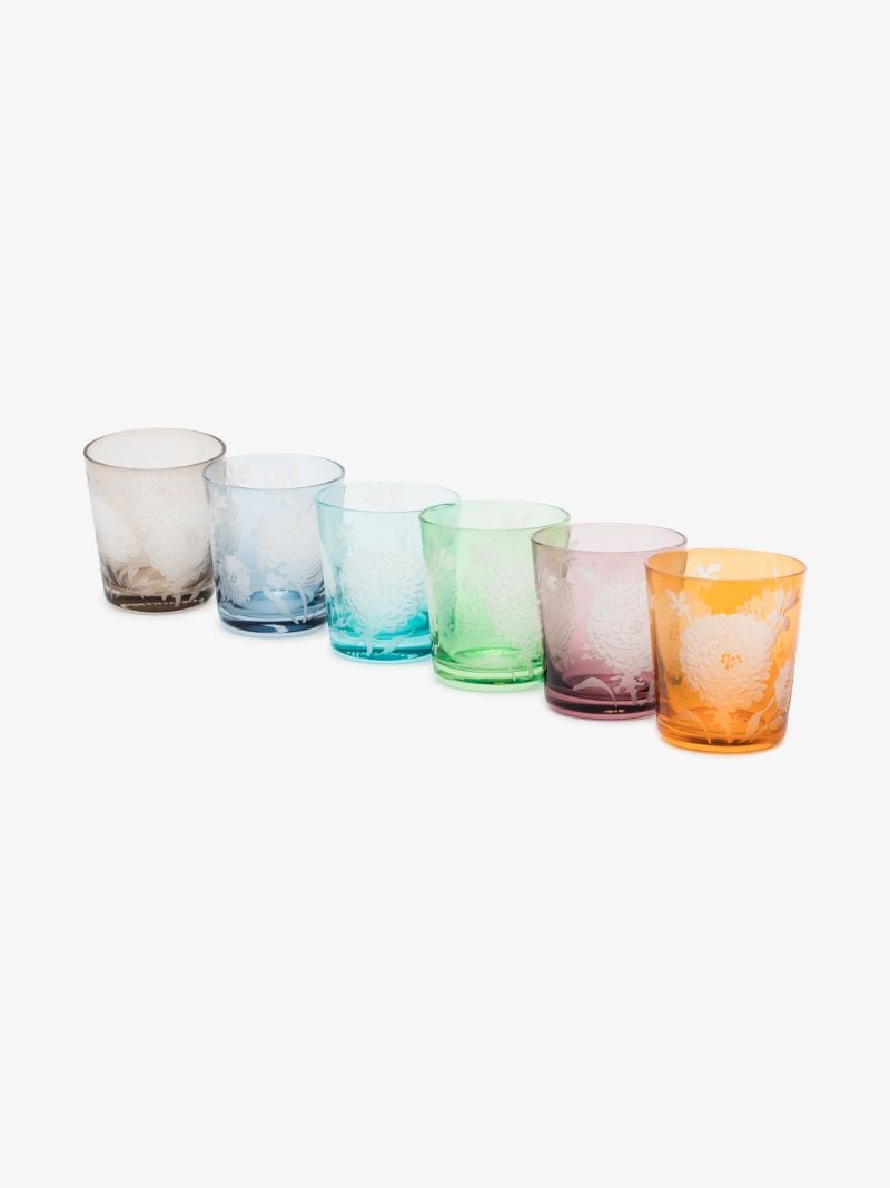 Multicolour Peony Drinking Glass Set
