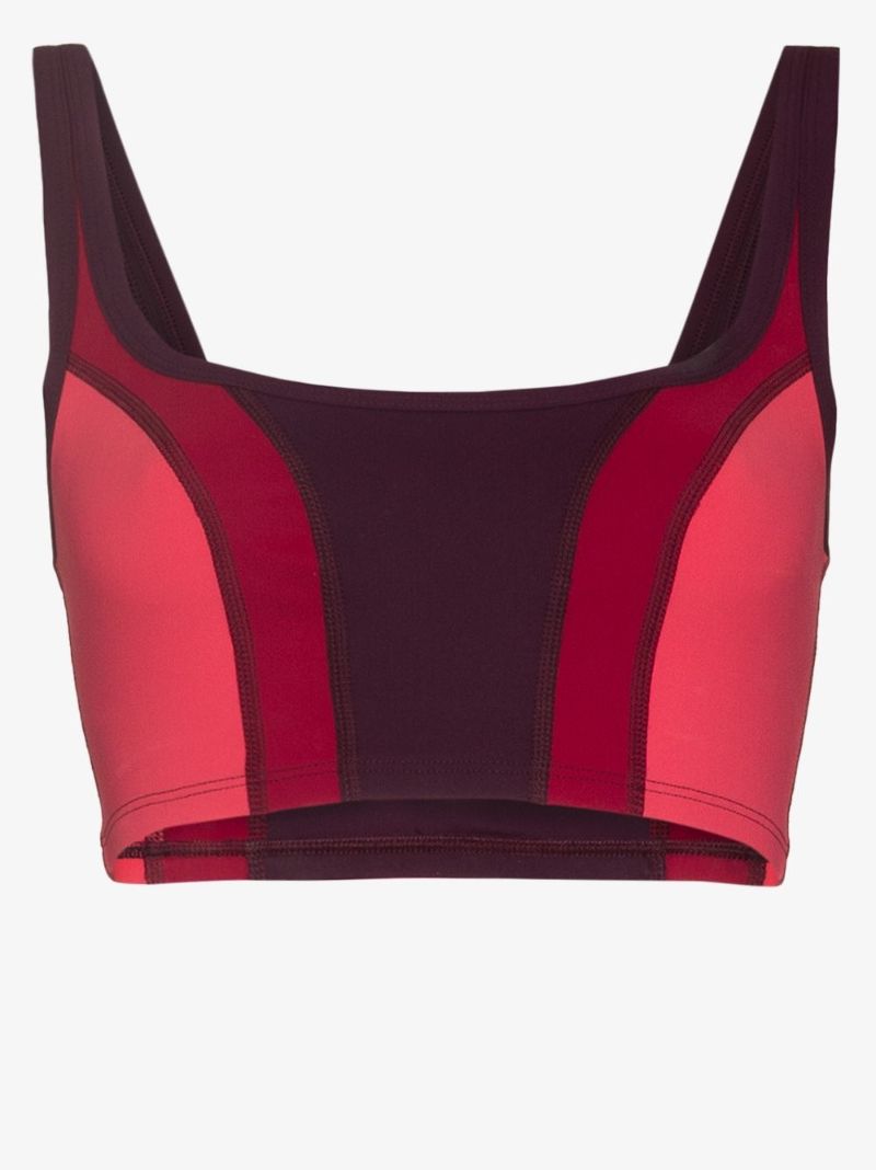 Taceyo Panelled Sports Bra