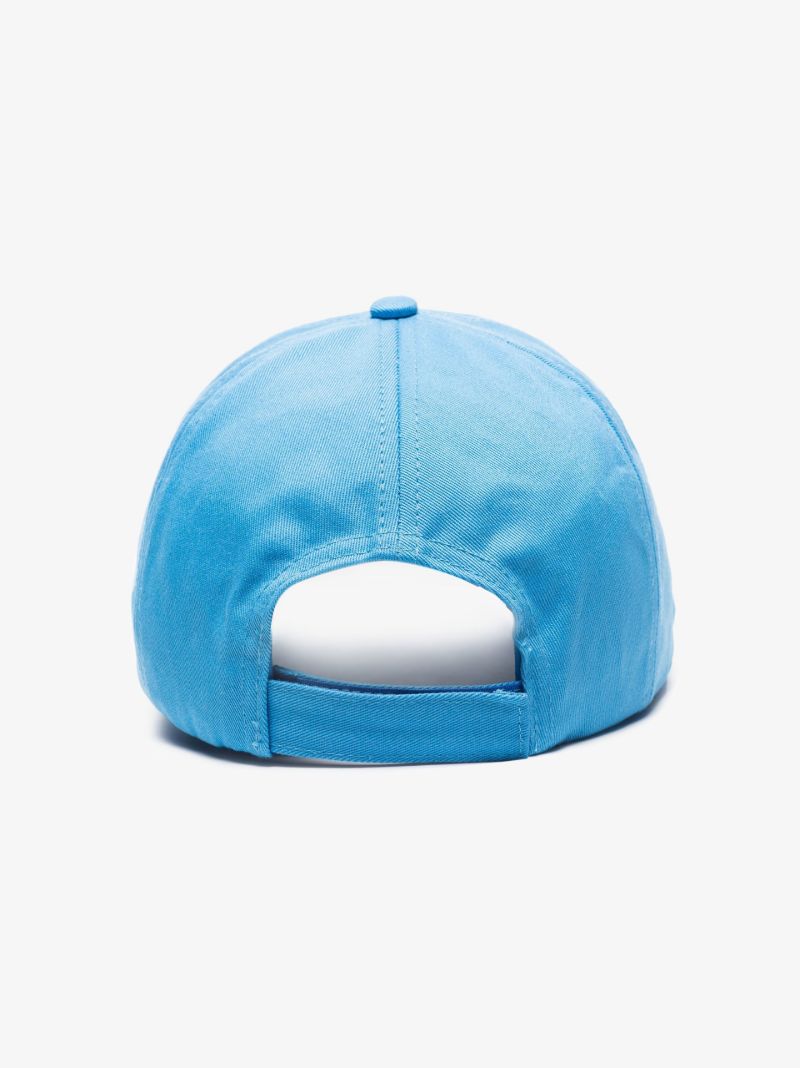 Blue Software Logo Baseball Cap