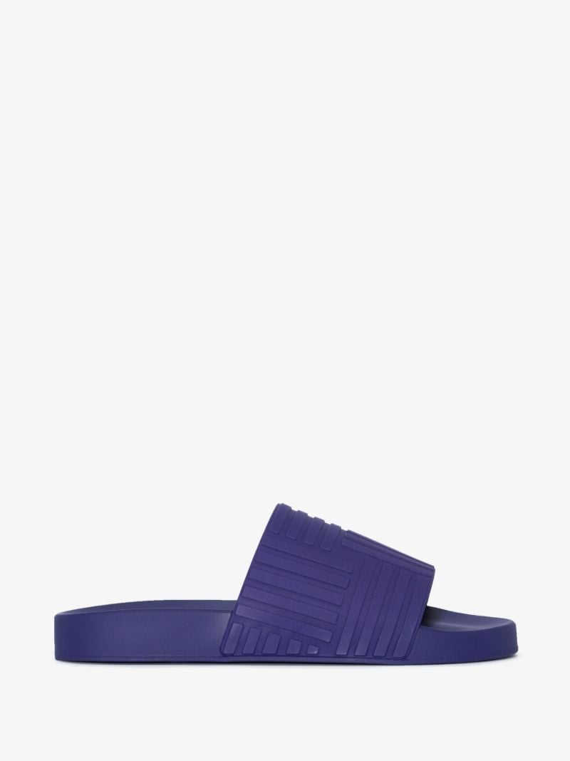 Blue Carpet Slides