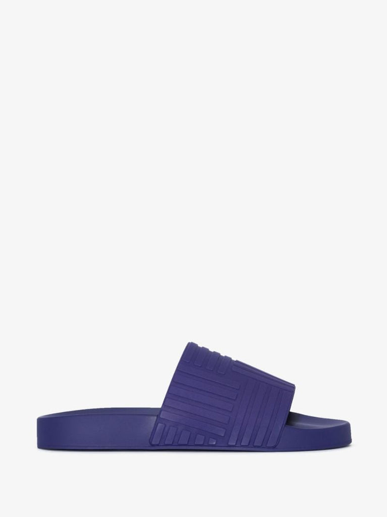 Blue Carpet Slides