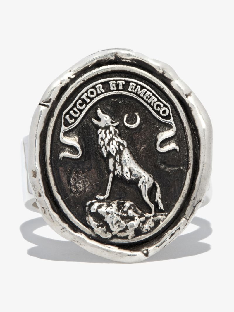 Sterling Silver Struggle and Emerge Ring