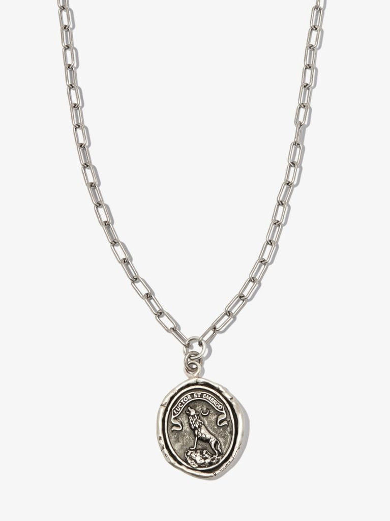 Sterling Silver Struggle and Emerge Chain Necklace