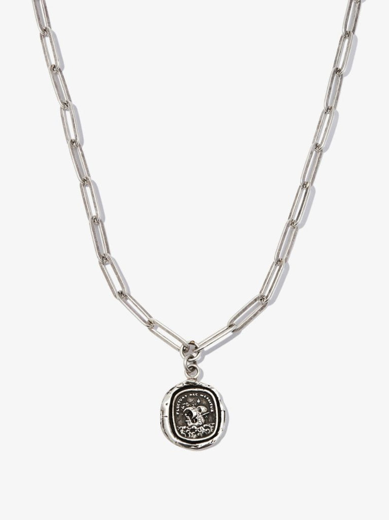 Sterling Silver Strength and Resilience Chain Necklace
