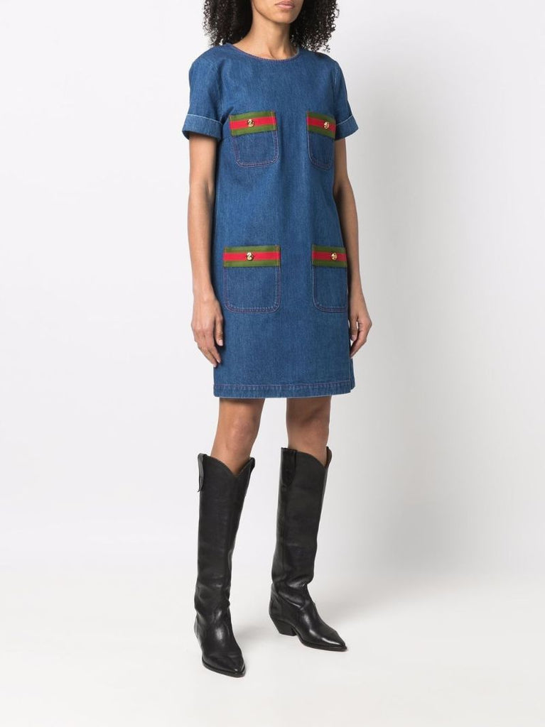 Web Stripe Denim Mini Dress