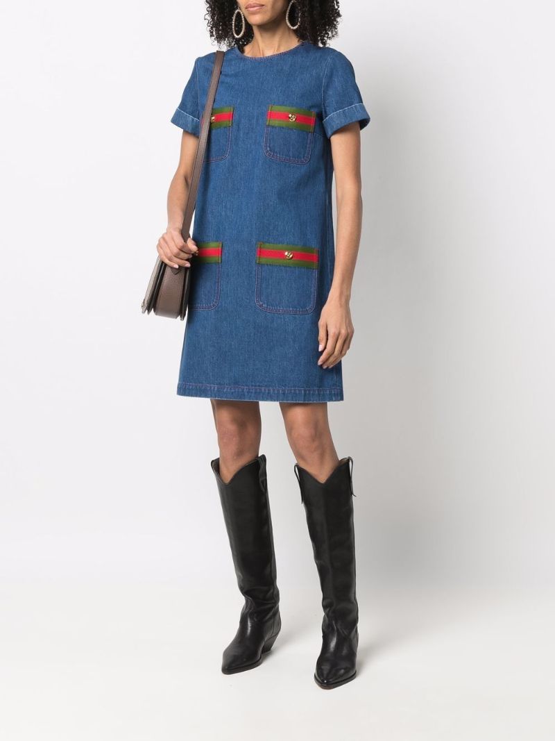 Web Stripe Denim Mini Dress