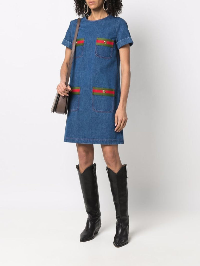 Web Stripe Denim Mini Dress
