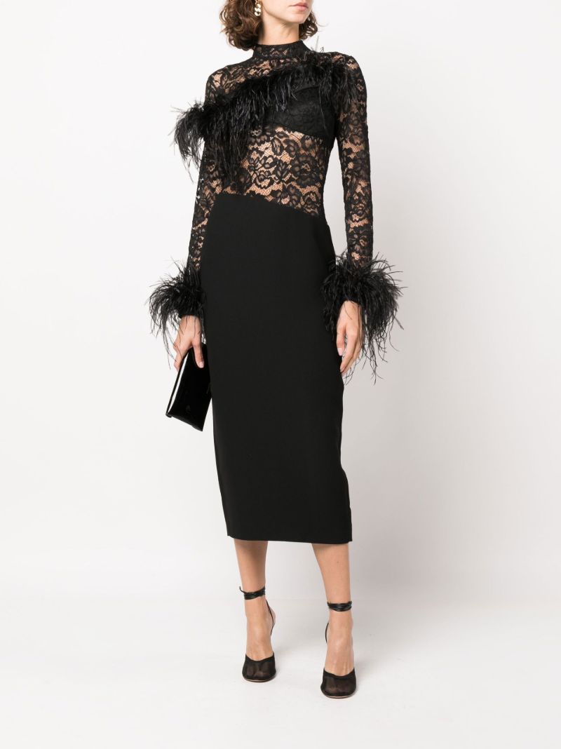 Black Feather-trimmed Lace Dress