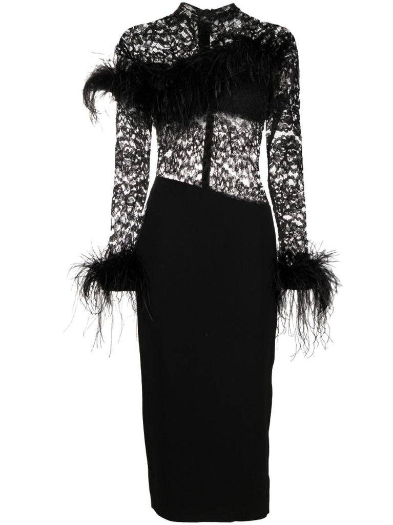 Black Feather-trimmed Lace Dress