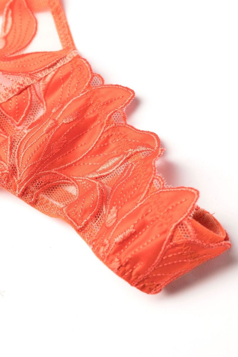 Orange Lily Embroidered Hipster Thong