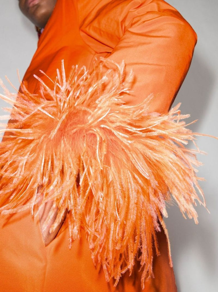 Orange Feather Trim Mini Dress