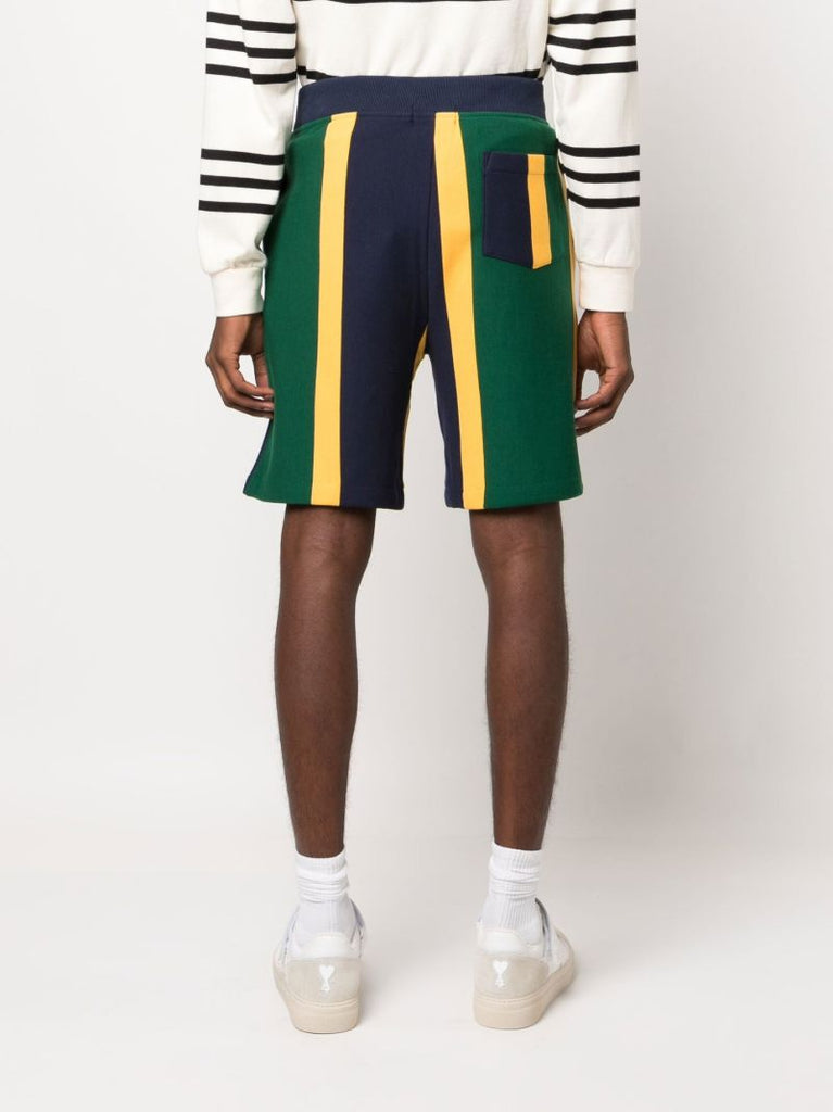 Blue Striped Fleece Track Shorts