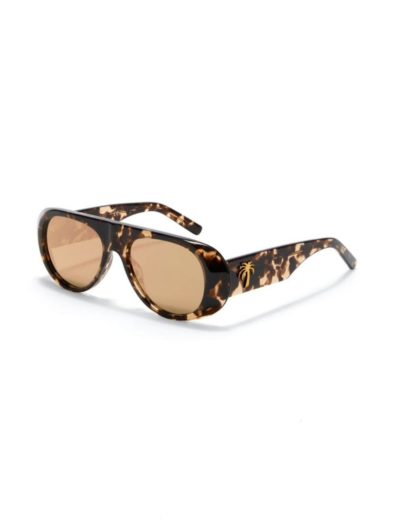 Brown Sierra Round Sunglasses