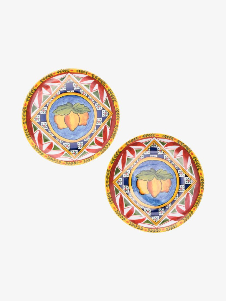 Multicolour Dinner Plate Set