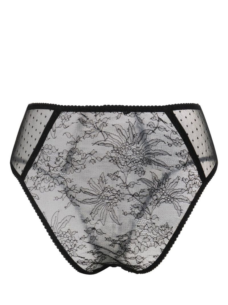 Black High-waisted Plumetis Lace Briefs