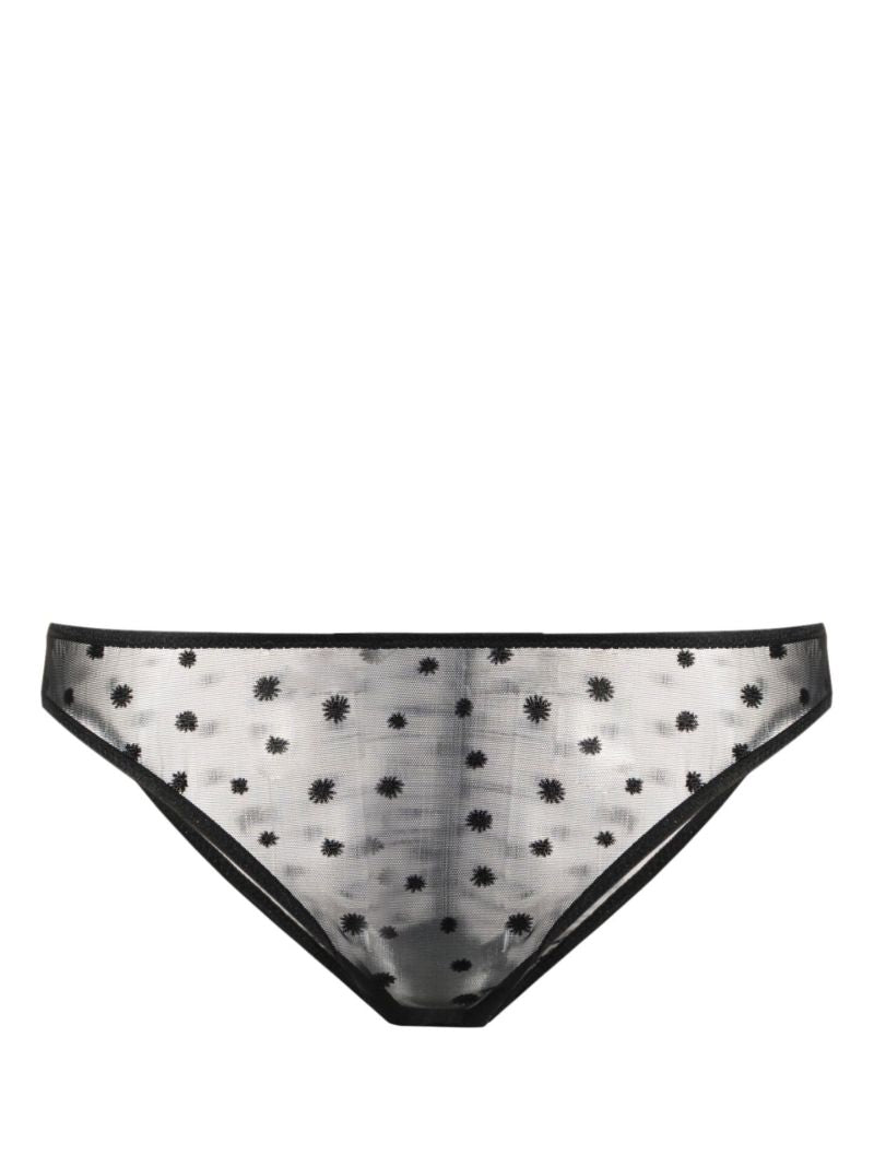 Black Lille Sheer Briefs