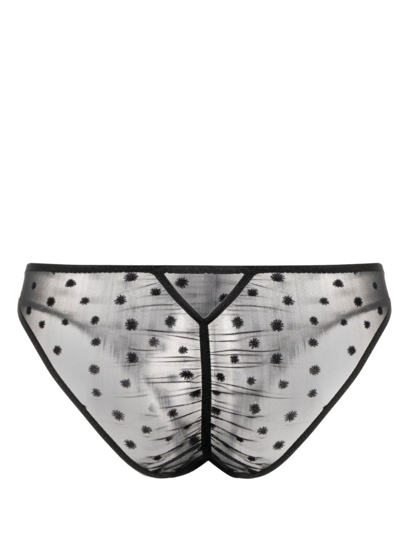 Black Lille Sheer Briefs