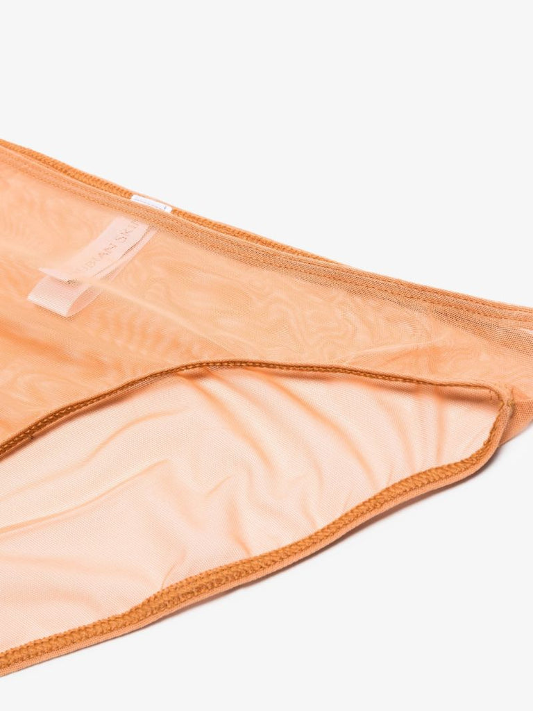 Neutral Tulle Brief Set