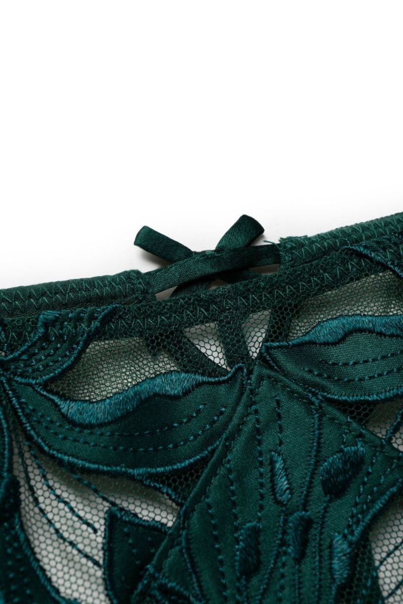 Green Lily Lace Silk Hipster Thong