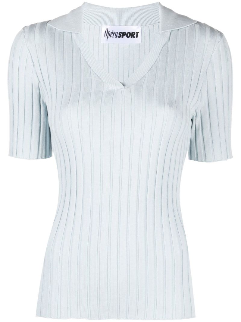 Blue Paloma Ribbed Knit Polo Top