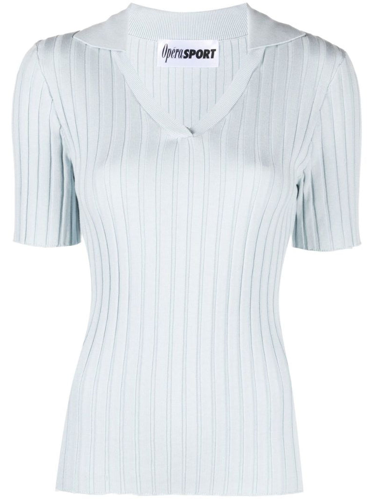 Blue Paloma Ribbed Knit Polo Top