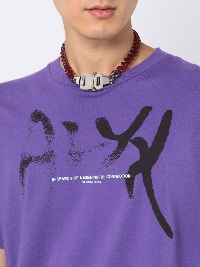 Red Transparent Chain-link Buckle Necklace