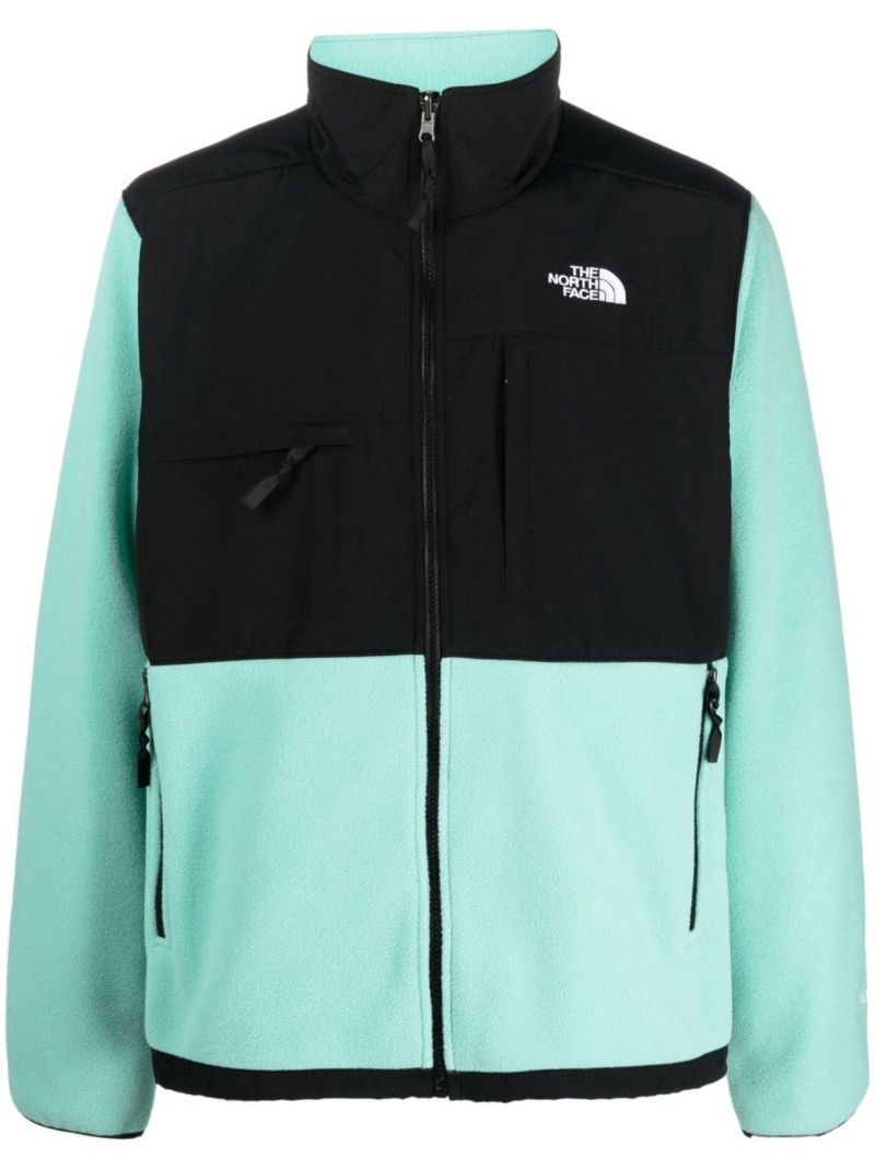 Green Denali 2 Fleece Jacket