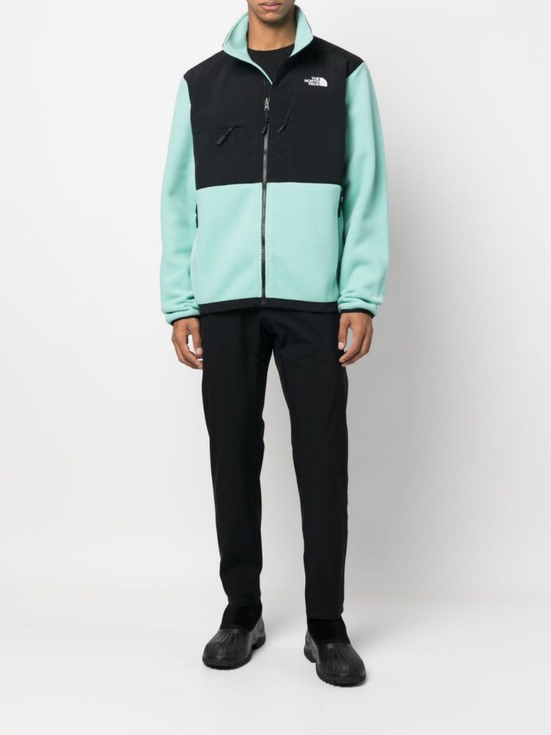 Green Denali 2 Fleece Jacket