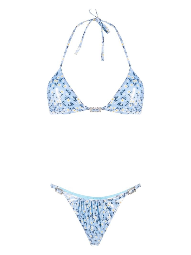 Blue Daisy Print Bikini