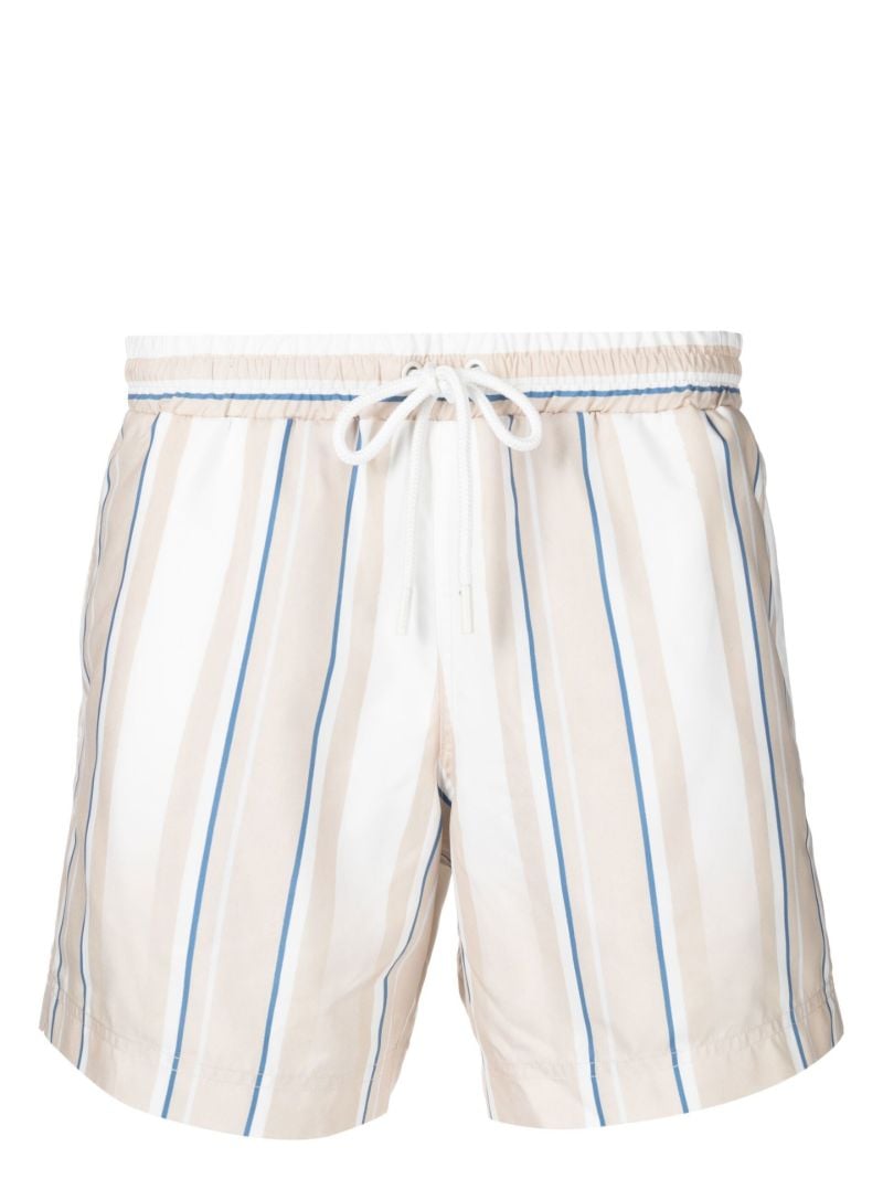 Neutral Faded Stripe Swim Shorts