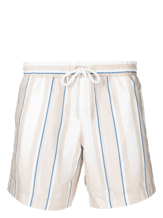 Neutral Faded Stripe Swim Shorts