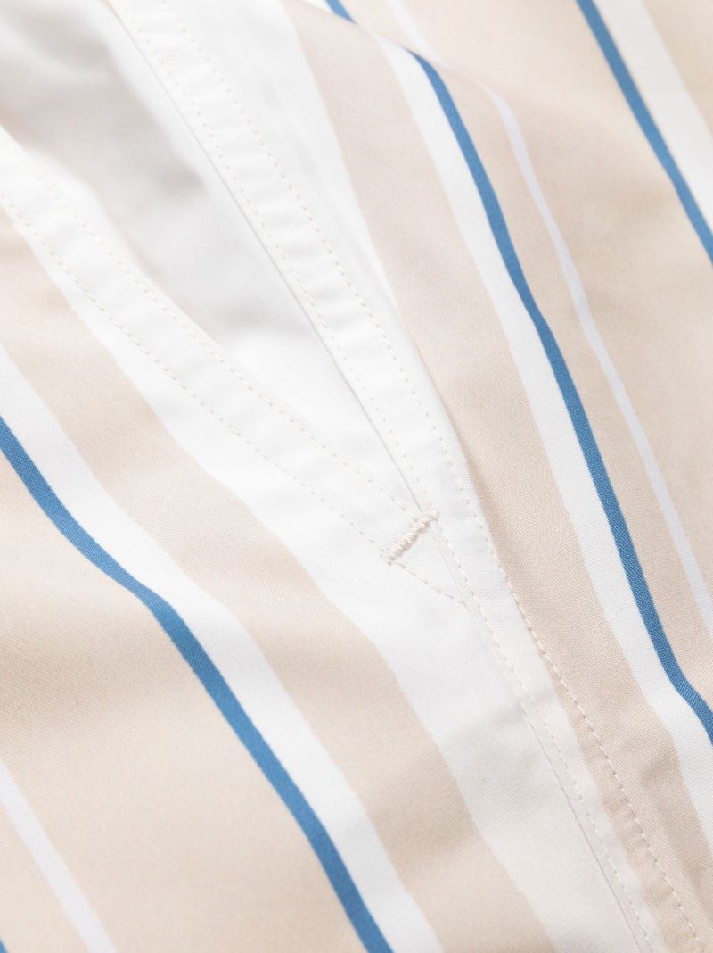 Neutral Faded Stripe Swim Shorts