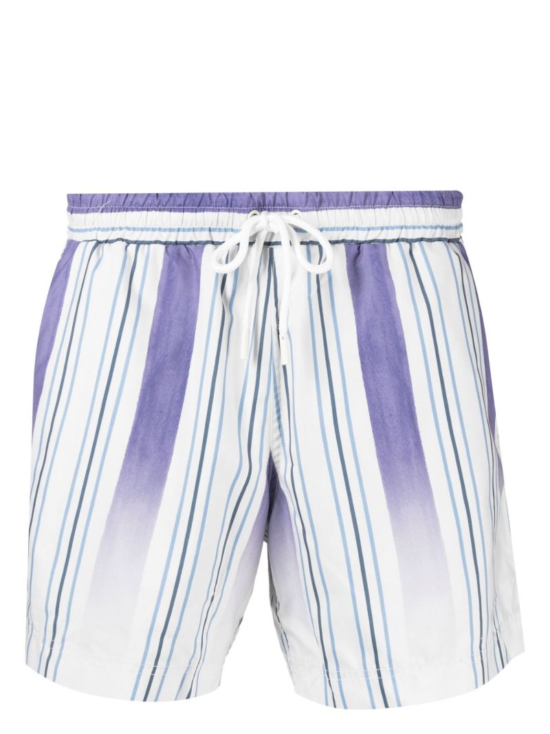 Neutral Faded Stripe Swim Shorts