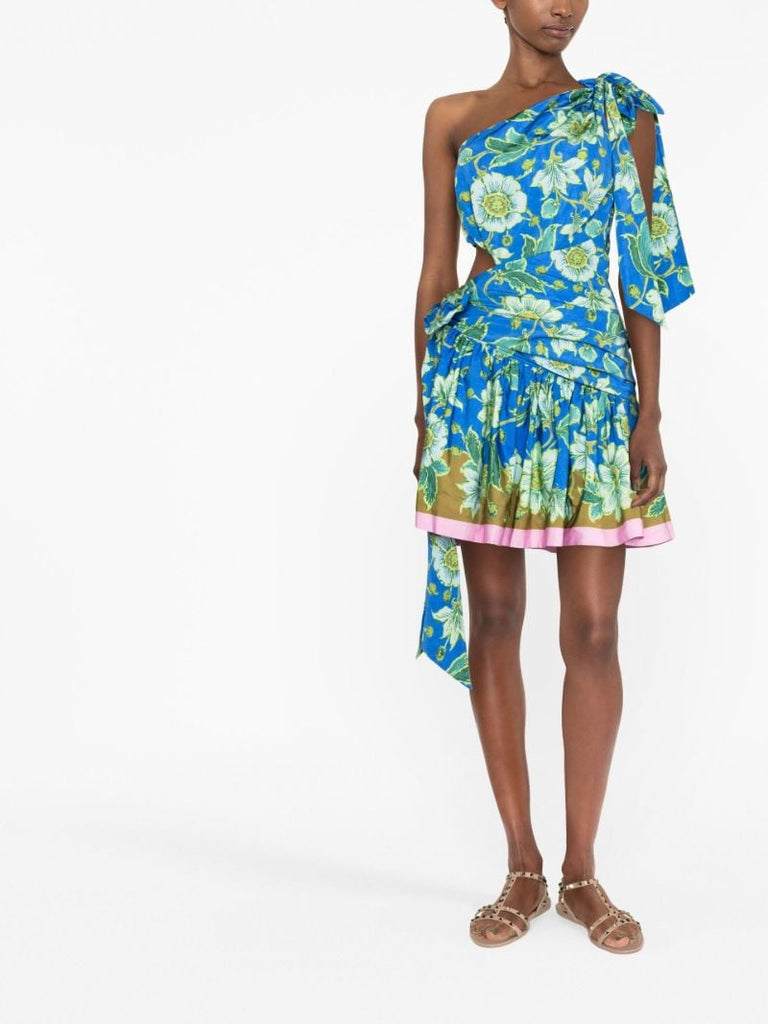 Blue Winnie Floral-print One-shoulder Mini Dress