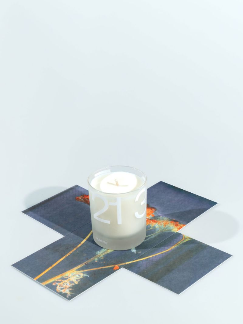 Neutral Pegwell 240g Candle