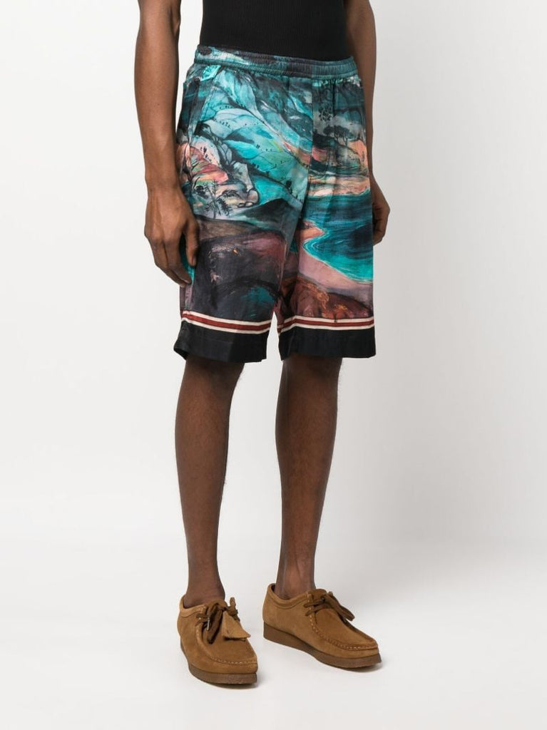 Multicolour Dua Wanita Board Shorts
