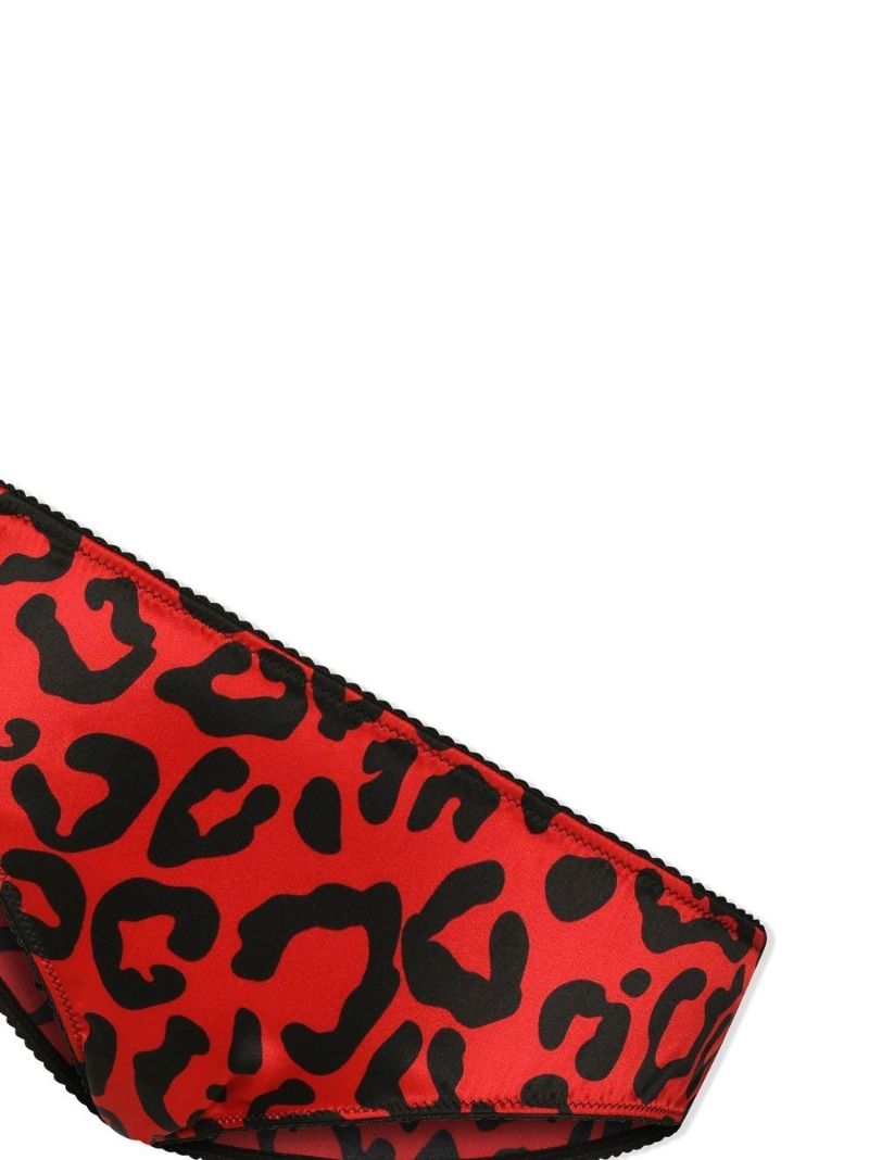 Red Leopard Print Silk Briefs
