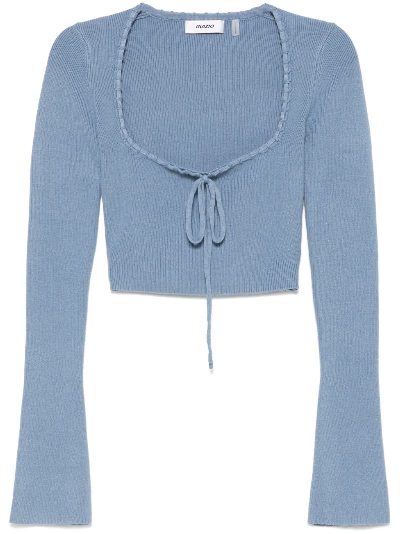 Blue Cropped Top