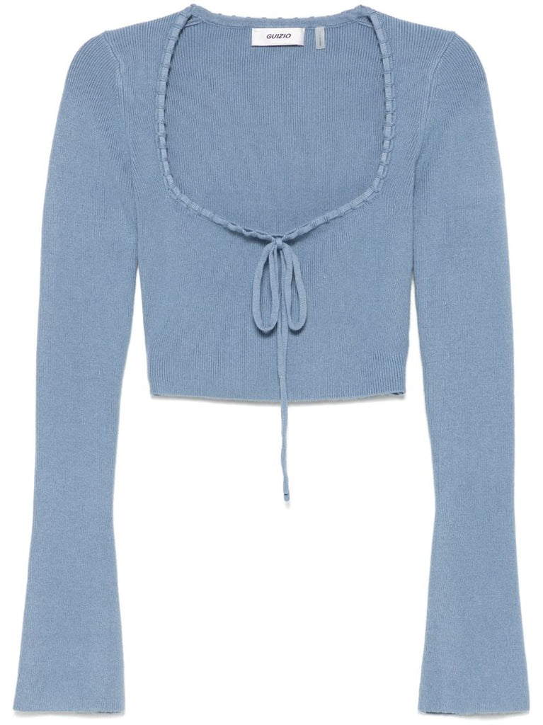 Blue Cropped Top