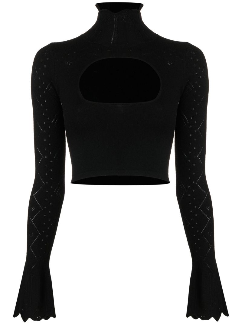 Black Pointelle Knit Cropped Top