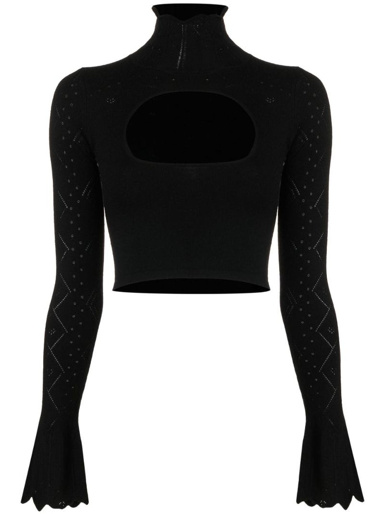 Black Pointelle Knit Cropped Top