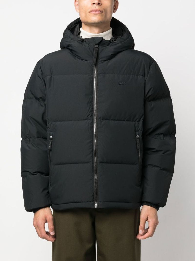 Black Padded Short Jacket