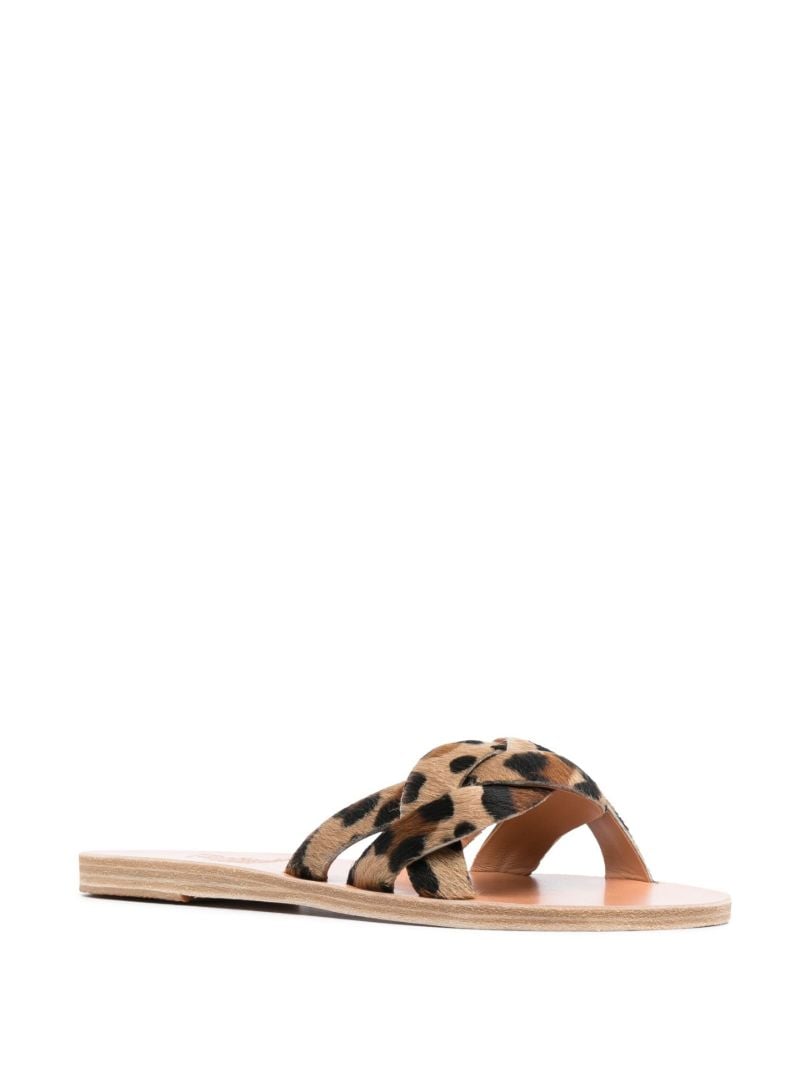 Neutral Arachne Leopard Print Slides