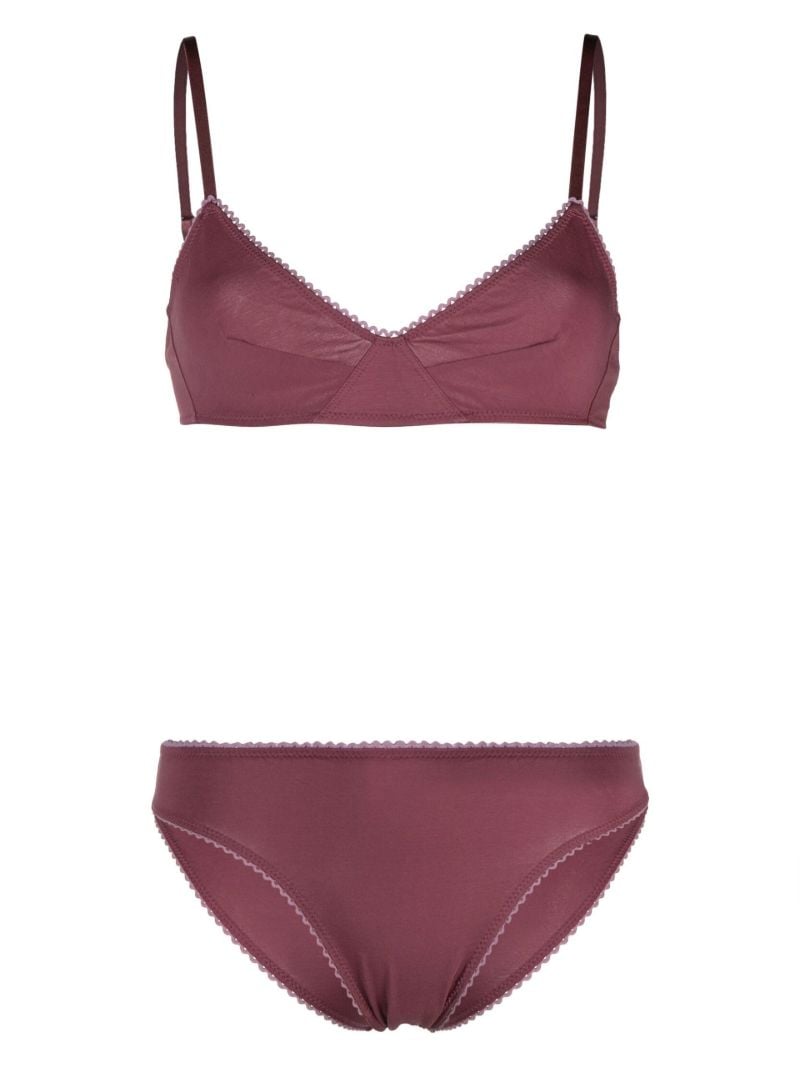Purple Bra and Brief Set
