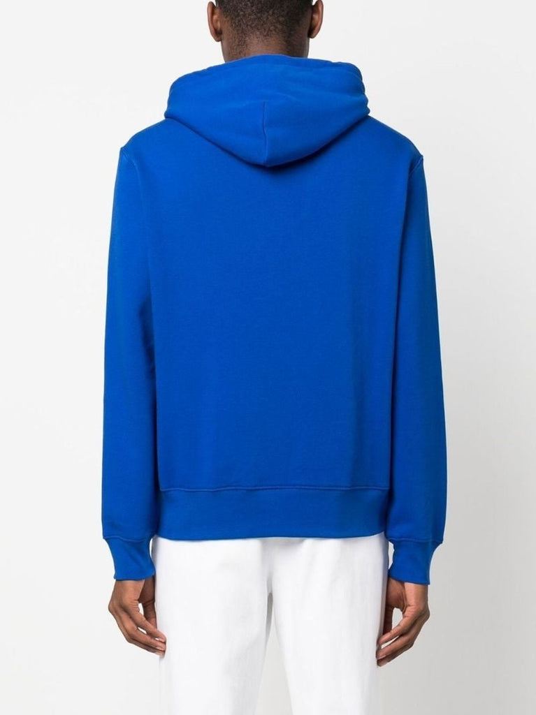 Blue Polo Bear Print Hoodie