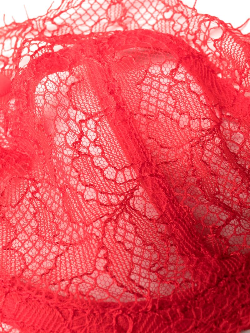 Red Lace Panel Bra