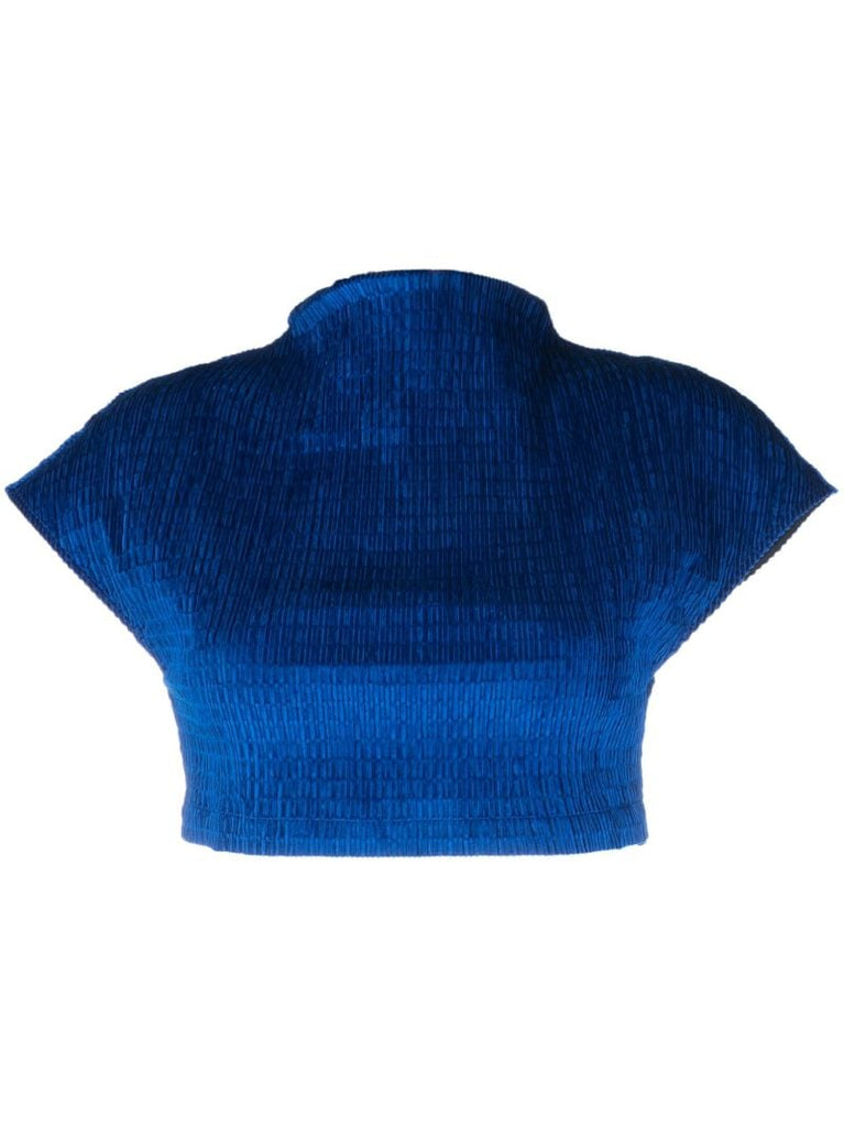 Blue Alina Velvet Crop Top